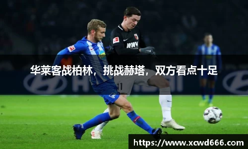 米兰体育官网