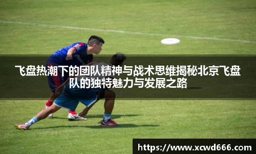 飞盘热潮下的团队精神与战术思维揭秘北京飞盘队的独特魅力与发展之路