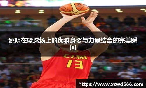 姚明在篮球场上的优雅身姿与力量结合的完美瞬间