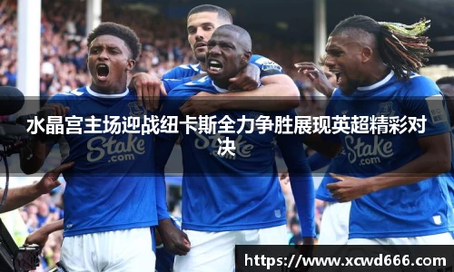 水晶宫主场迎战纽卡斯全力争胜展现英超精彩对决