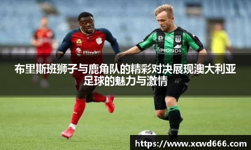 布里斯班狮子与鹿角队的精彩对决展现澳大利亚足球的魅力与激情