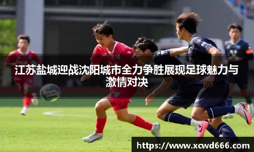 江苏盐城迎战沈阳城市全力争胜展现足球魅力与激情对决