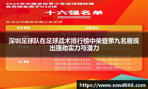 深圳足球队在足球战术排行榜中荣登第九名展现出强劲实力与潜力