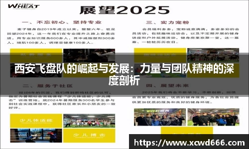 西安飞盘队的崛起与发展：力量与团队精神的深度剖析