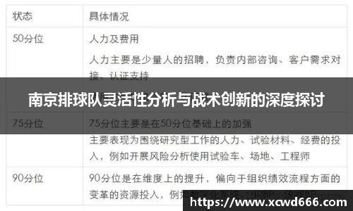 南京排球队灵活性分析与战术创新的深度探讨