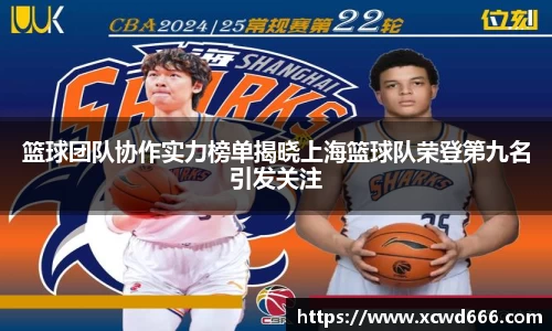 篮球团队协作实力榜单揭晓上海篮球队荣登第九名引发关注
